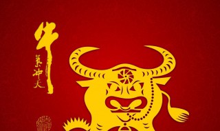 送闺蜜新年祝福一句话(送给闺蜜的新年祝福语一段话)