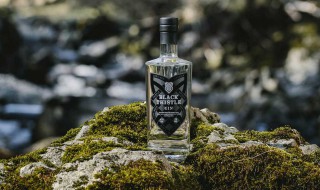 杜松子酒的功效与作用（杜松子酒的成分）