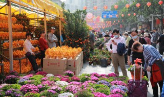 端午节送什么花好 端午节送哪种花好