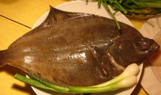 比目鱼不能和什么一起吃 比目鱼哪些人不能吃