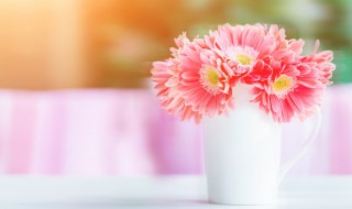 阿司匹林鲜花保鲜小窍门 如何用阿司匹林保存鲜花