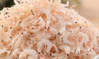 虾米如何挑选 虾米的选购方法