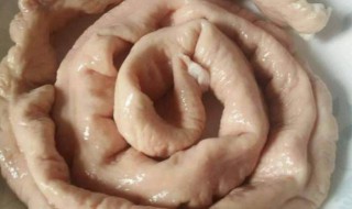 大肠如何挑选 猪大肠的选购技巧