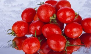 圣女果如何挑选 选购圣女果有什么方法