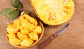 菠萝蜜怎么挑选 菠萝蜜挑选的方法
