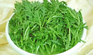 凉拌菊花脑的做法 凉拌菊花脑怎么做