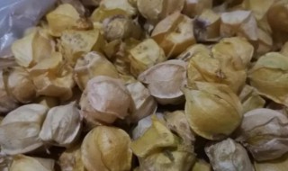 姑娘果的做法 姑娘果怎么做好吃