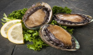 小鲍鱼干怎么泡 怎么泡鲍鱼干