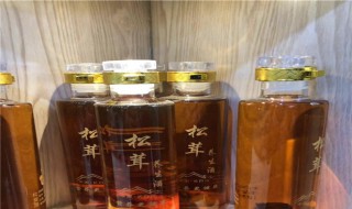 松茸酒怎么泡 怎么泡松茸酒