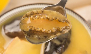 鲍鱼干怎么煲汤好喝 鲍鱼干如何煲汤