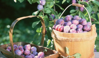 乌梅是什么水果做的 乌梅是什么水果制作的