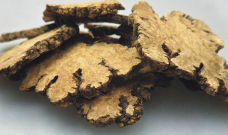 川芎和当归的区别是什么 川芎和当归不同点