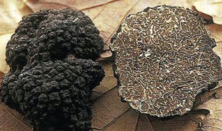 新鲜松露怎么吃最好 新鲜松露好吃做法