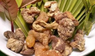 黄精怎么储存方法 黄精的简介