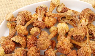 干松茸的储存方法 关于干松茸的储存方法