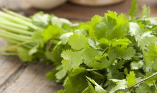 香菜冷库储存方法 香菜冷库储存方法是什么