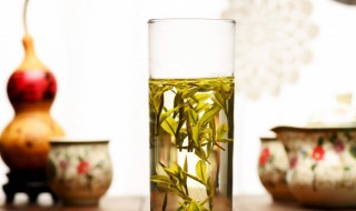 日照绿茶储存方法 日照绿茶储存方法是什么