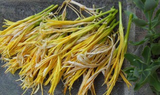 新鲜黄花菜的储存方法 新鲜黄花菜的储存方法简单介绍