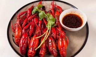 小龙虾小青中青大青的标准 小龙虾小青中青大青的标准介绍