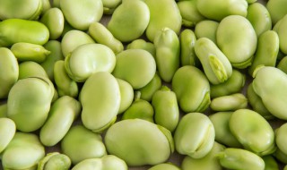 蚕豆的做法有哪些 蚕豆的烹饪方法