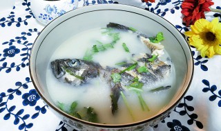 黑鱼汤的功效与做法 黑鱼汤的功效介绍