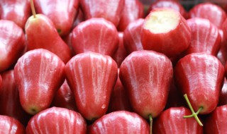 水果莲雾有什么好处 水果莲雾的好处