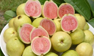 番石榴有哪些功效与作用 番石榴功效与作用分享
