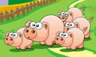 母猪下崽后不吃食怎么办 母猪下崽后不吃食应该怎么做