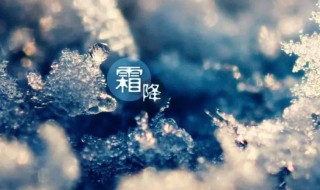 有关霜降的诗句古诗 霜降的唯美诗句