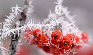 霜降的唯美诗句 有关霜降的诗句古诗