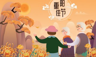 九月九重阳节慰问句子 九月九重阳节慰问句子有哪些