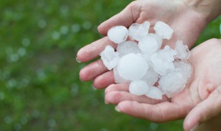 雹的拼音和组词 雹的意思