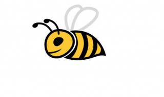 蜜蜂有几种 蜜蜂有多少种呢