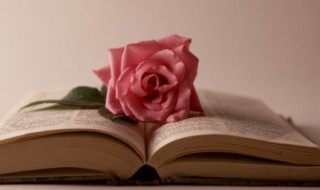 舟过安仁主要内容 舟过安仁主要内容30字