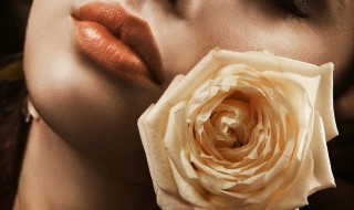 4朵黄玫瑰代表什么意思 四朵黄玫瑰代表什么意思