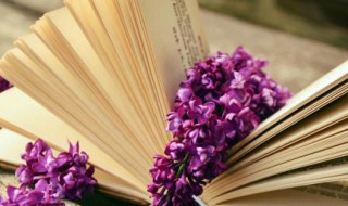 写春天的句子优美段落（描写春天的段落50字）