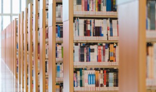 一个吉一个页是什么字（一个纟一个吉一个页是什么字）