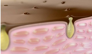 去黑头鼻膜的做法 黑头鼻膜怎么用