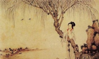 努力加餐饭的前一句是什么（努力加餐饭的理解）