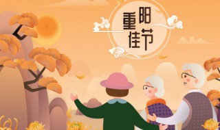 重阳节的来由（重阳节的来由100字）