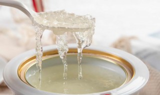 什么季节吃燕窝效果好 什么季节吃燕窝效果比较好