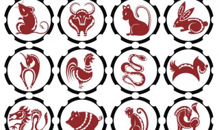 属蛇冲太岁佩戴什么（属蛇的犯太岁）