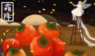 2021霜降为什么要吃柿子（霜降前的柿子为什么不能吃）