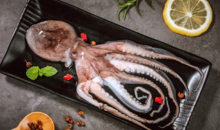 红烧八爪鱼怎么做 红烧八爪鱼怎么做好吃 家常做法