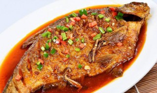 鲫鱼怎么红烧（鲫鱼怎么红烧不碎）