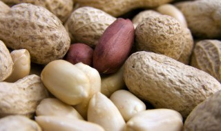 花生和鸡蛋怎么做好吃 花生米和鸡蛋怎么做好吃