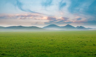 绿茵茵的拼音怎么写（绿茵茵的拼音怎么写的意思）