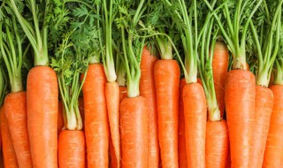 红萝卜丝怎么炒 红萝卜丝怎么炒好吃又简单的做法