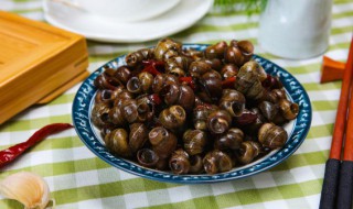 螺怎么炒（花甲螺怎么炒）