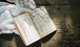 洞的拼音和组词 泡的拼音和组词